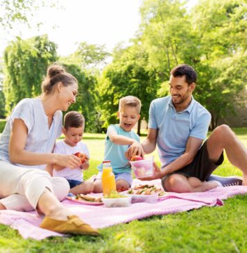 Doğa ile Baş Başa: 2025’in En Popüler Ankara Piknik Alanları Doğa ile Baş Başa: 2025’in En Popüler Ankara Piknik Alanları