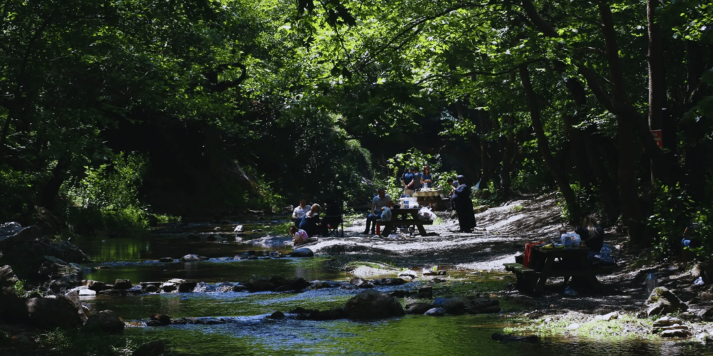 Misi Köyü Piknik Alanı 