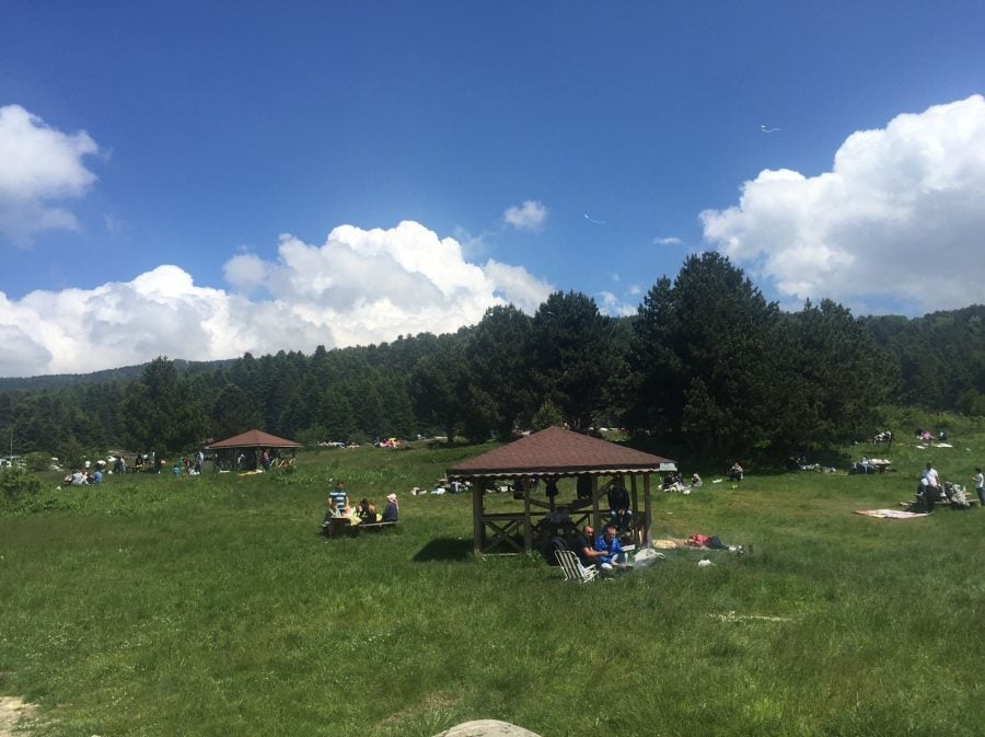 Uludağ Sarıalan Piknik Alanı