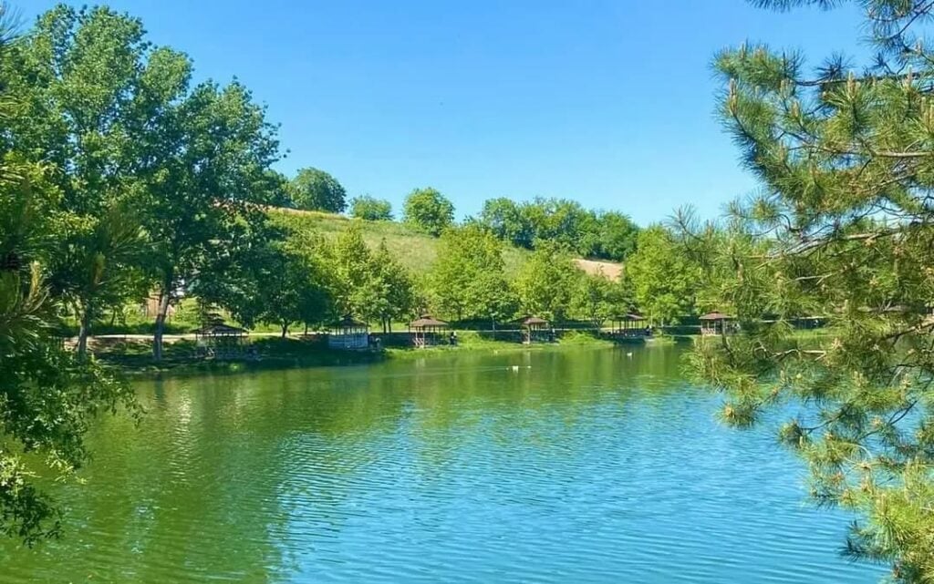 Yenice Piknik Alanı