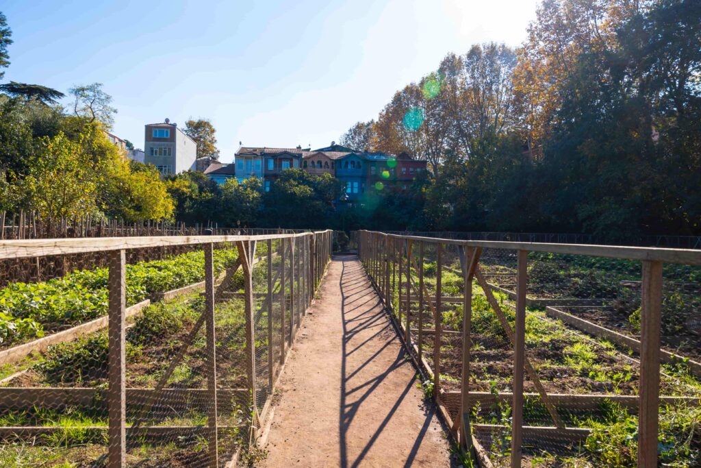 Kuzguncuk Bostanı