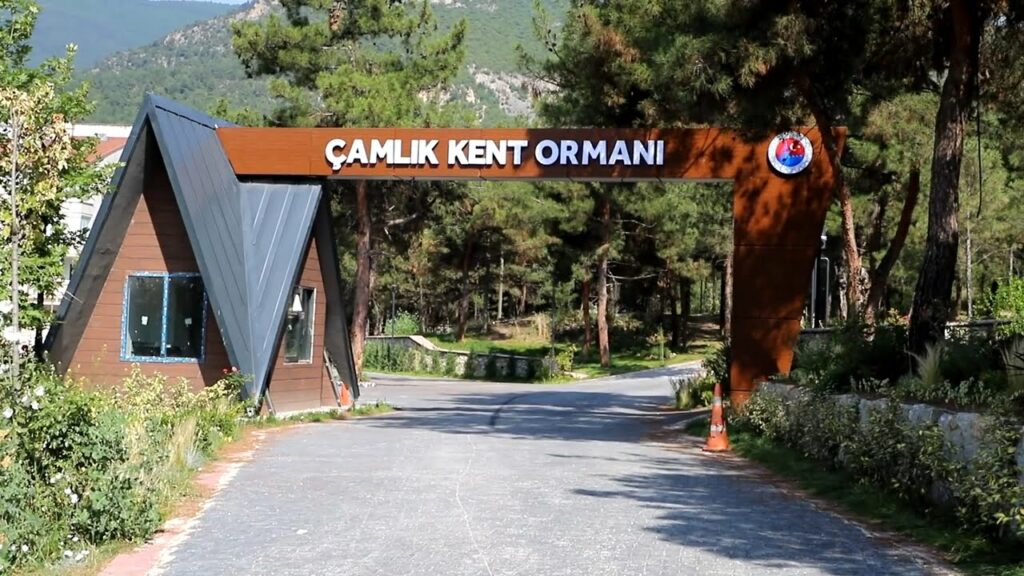 Safranbolu Kent Ormanı