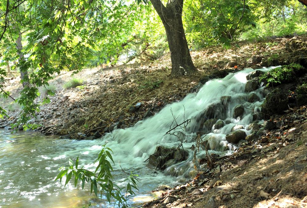 Kapıçam Tabiat Parkı