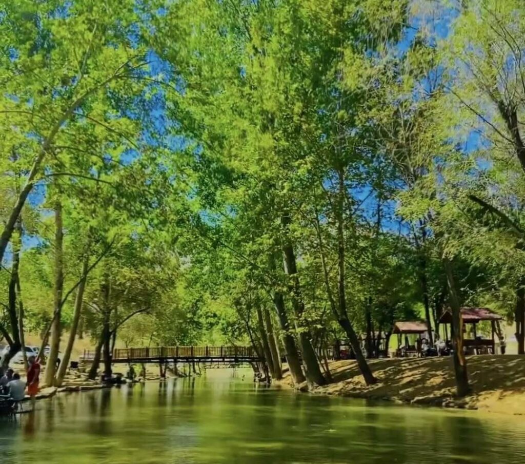 Yeşilgöz Mesire Alanı