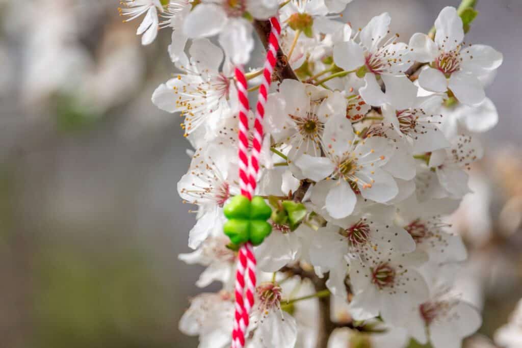 Marteniçka Hangi Ülkelerde Kutlanır? | obilet.com - Blog Marteniçka Hangi Ülkelerde Kutlanır?