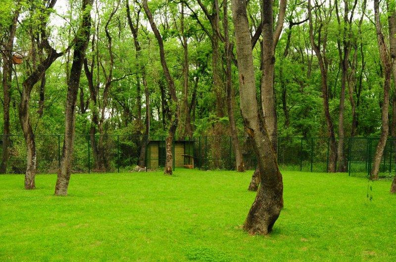 Çakırlar Korusu | obilet.com - Blog Çakırlar Korusu