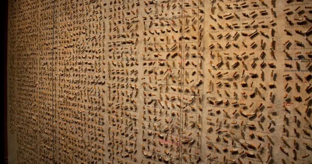 4000 Sigara İzmariti Vitrini