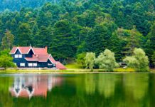 Bolu’da Gezilecek Yerler: Göller, Ormanlar ve Tarihin Buluştuğu Şehir Bolu'da Gezilecek Yerler: Göller, Ormanlar ve Tarihin Buluştuğu Şehir