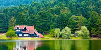 Bolu'da Gezilecek Yerler: Göller, Ormanlar ve Tarihin Buluştuğu Şehir