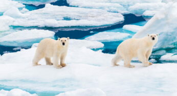 <strong>Ölmenin Yasak Olduğu Kasaba: Svalbard Gezi Rehberi</strong>