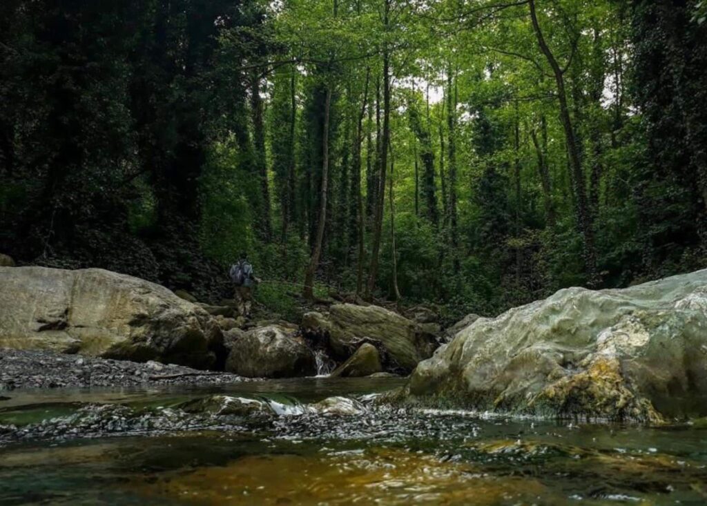 Çatalkaya Vadisi